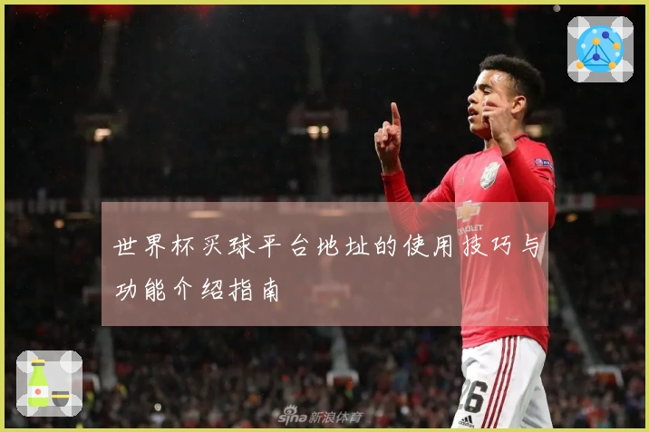 世界杯买球平台地址的使用技巧与功能介绍指南