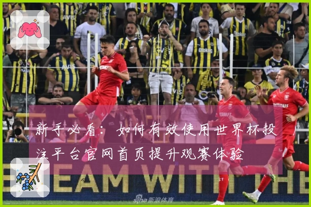 新手必看：如何有效使用世界杯投注平台官网首页提升观赛体验