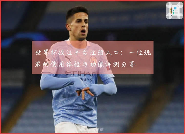 世界杯投注平台注册入口：一位玩家的使用体验与功能评测分享