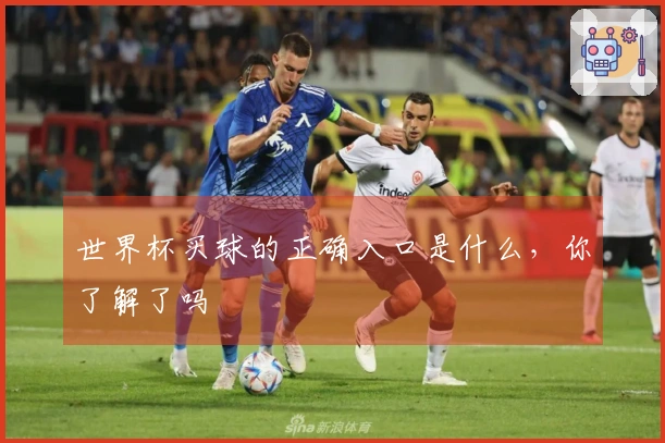 世界杯买球的正确入口是什么，你了解了吗