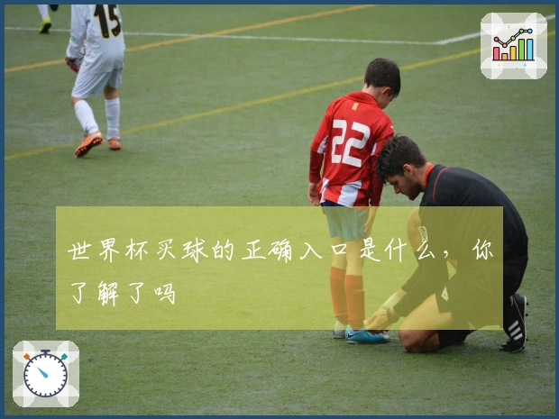 世界杯买球的正确入口是什么，你了解了吗