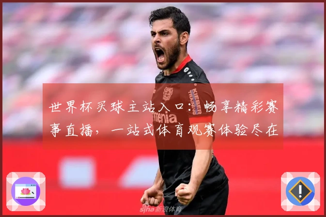 世界杯买球主站入口：畅享精彩赛事直播，一站式体育观赛体验尽在此。