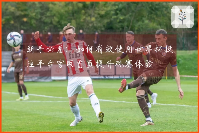 新手必看：如何有效使用世界杯投注平台官网首页提升观赛体验