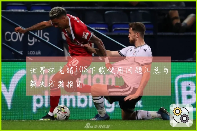 世界杯竞猜iOS下载使用问题汇总与解决方案指南