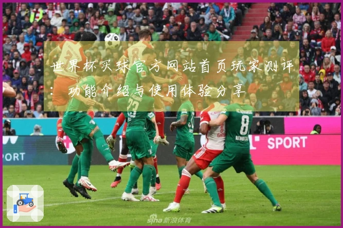 世界杯买球官方网站首页玩家测评：功能介绍与使用体验分享
