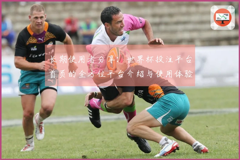 长期使用者分享：世界杯投注平台首页的全方位平台介绍与使用体验