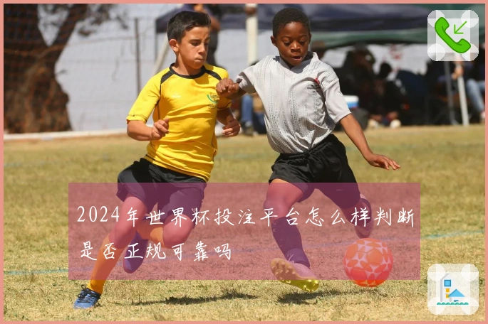 2024年世界杯投注平台怎么样判断是否正规可靠吗