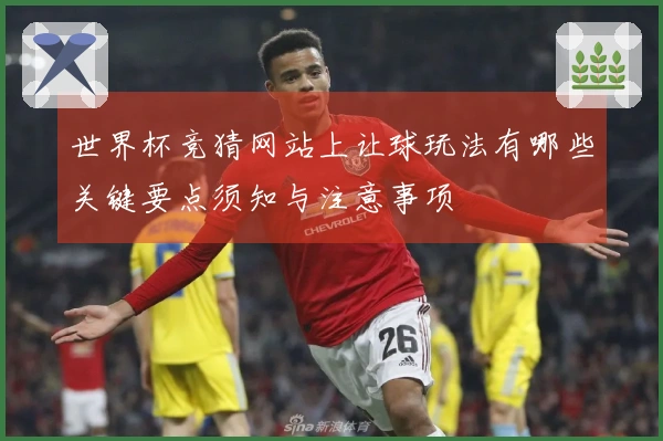 世界杯竞猜网站上让球玩法有哪些关键要点须知与注意事项