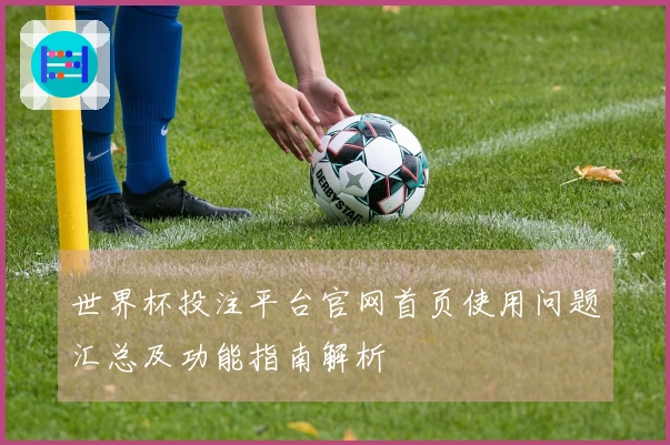 世界杯投注平台官网首页使用问题汇总及功能指南解析